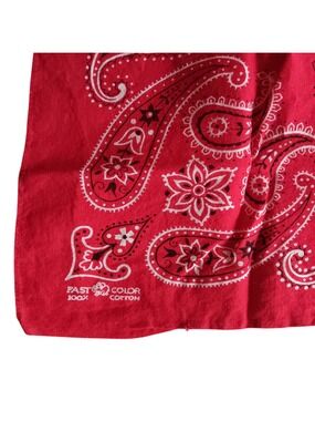 Vintage Trunk Up Elephant Paisley Bandana Hanky Western Handkerchief Fast Color
